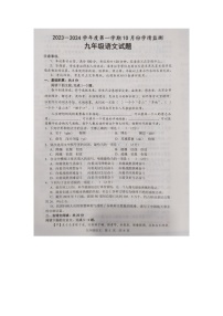 山东省济宁市金乡县2023-2024学年九年级上学期10月月考语文试题