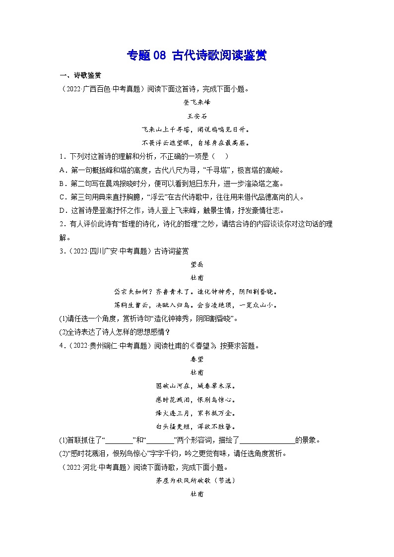 专题08古代诗歌阅读鉴赏-2023年中考语文一轮复习基础考点精讲精练专项汇编01