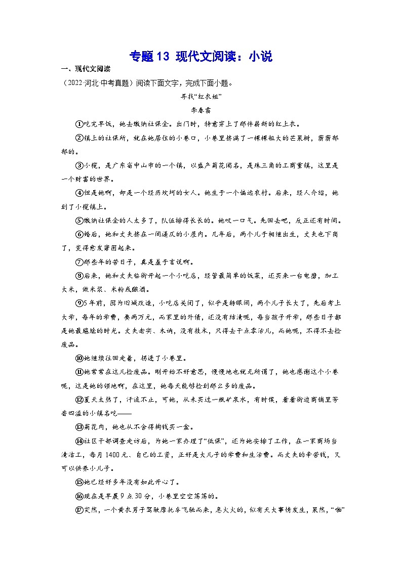专题13 现代文阅读：小说-2023年中考语文一轮复习基础考点精讲精练专项汇编01