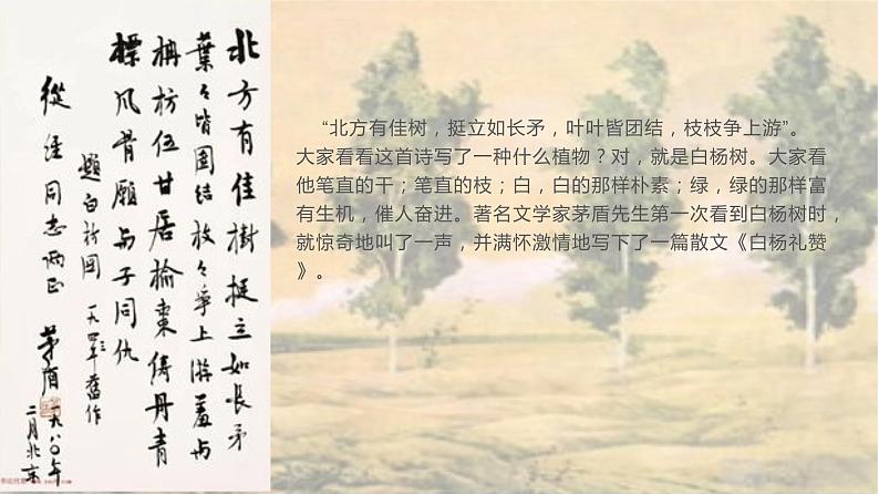 《白杨礼赞》教学ppt第2页