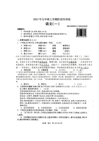 湖南省娄底市涟源市2023-2024学年九年级上学期月考一（10月）语文试卷