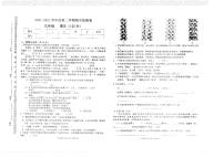 甘肃省定西市岷县2021-2022学年九年级下学期期中考试语文试题