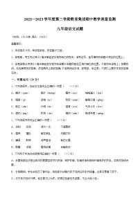 山东省滨州市博兴县2022-2023学年九年级下学期期中语文试题