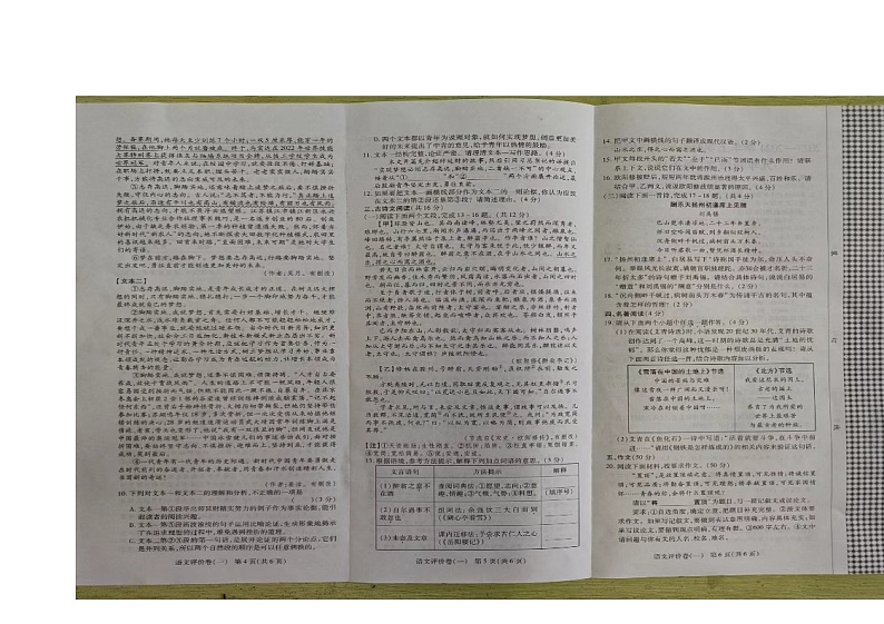 河南省周口市项城市2023-2024学年九年级上学期10月月考语文试题第2页