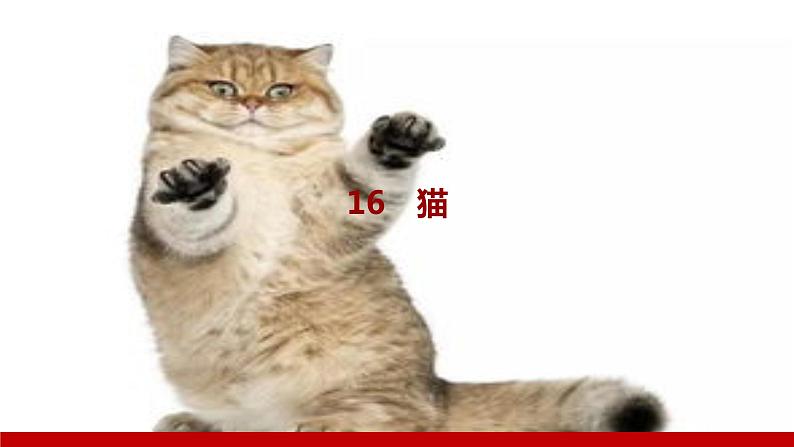 部编版七年级语文上册课件 第五单元 16　猫第1页