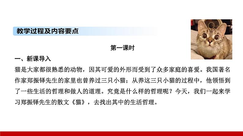 部编版七年级语文上册课件 第五单元 16　猫第3页