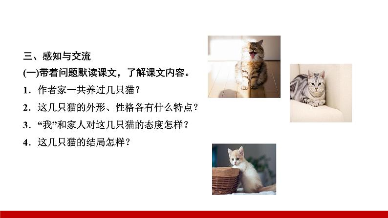 部编版七年级语文上册课件 第五单元 16　猫第7页