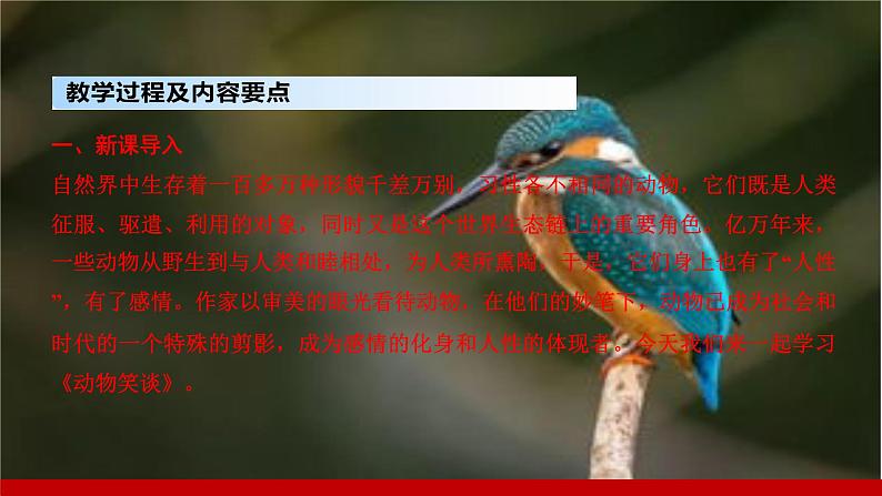 部编版七年级语文上册课件 第五单元 17　动物笑谈第3页