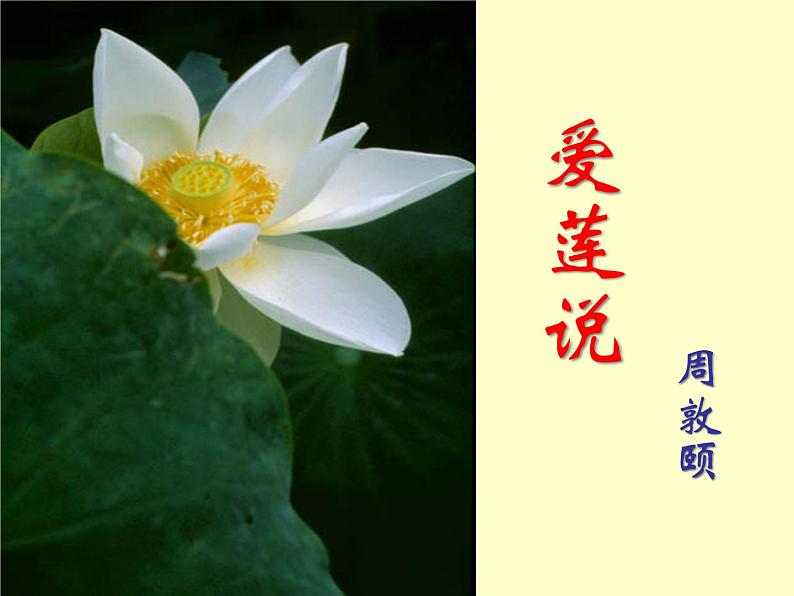 《爱莲说》ppt课件03