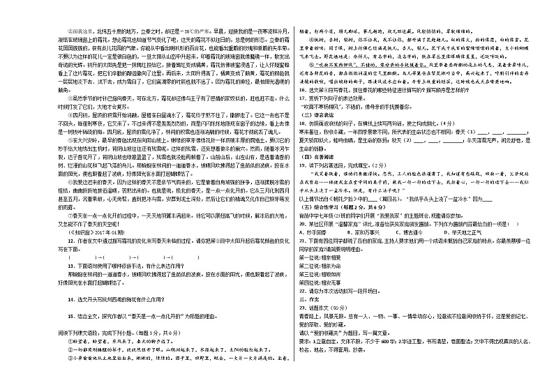 山东省临沂市临沭县青云镇青云初级中学2023-2024学年七年级上学期第一次月考语文试题02