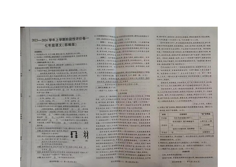 河南省周口市项城市2023-2024学年七年级上学期10月月考语文试题01