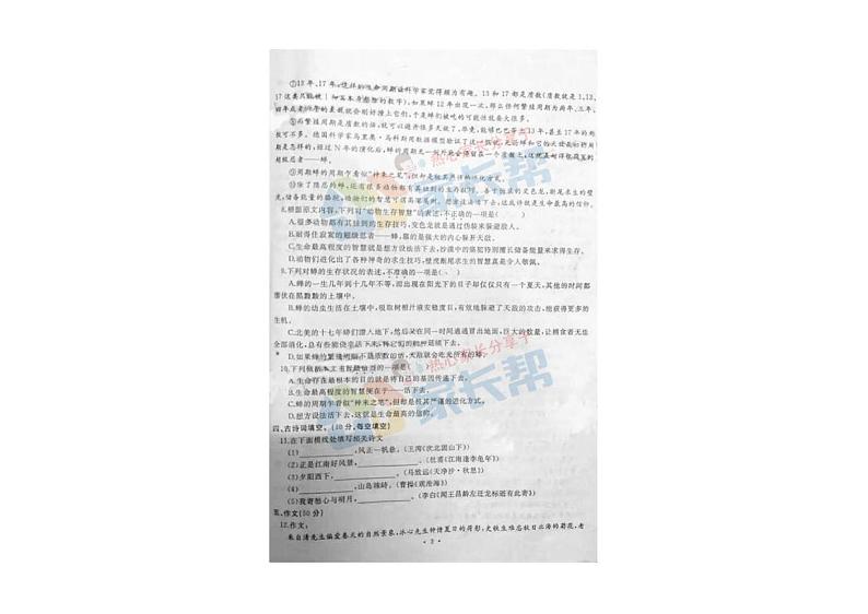 2017-2018上学期初一期中江汉区语文试卷第3页