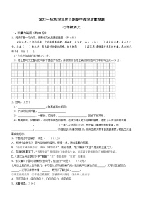 河南省漯河市郾城区2022-2023学年七年级上学期期中语文试题