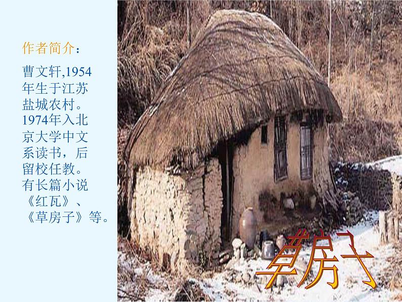 部编版九年级语文上册--17孤独之旅（课件）第2页