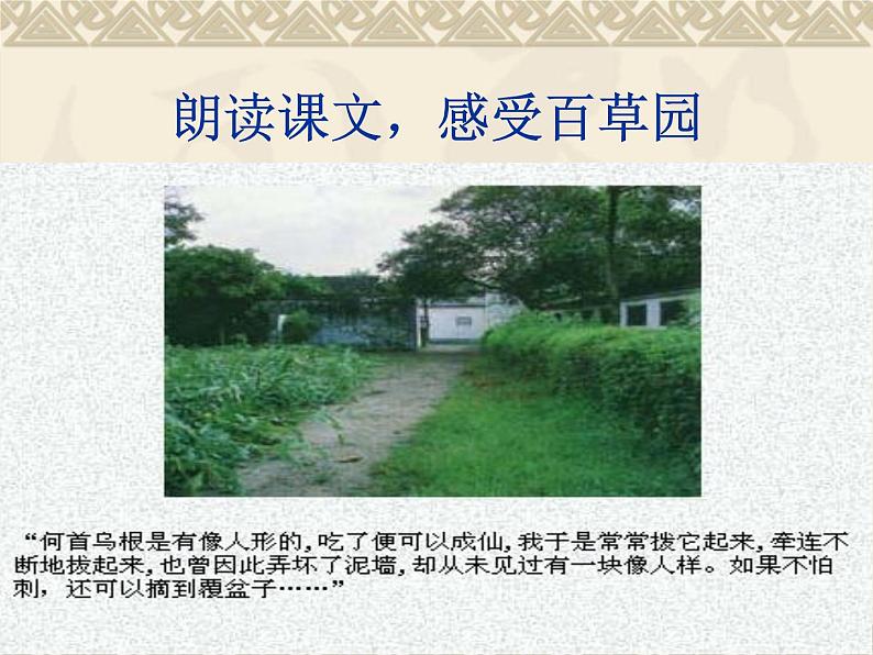 部编版七年级语文上册--9从百草园到三味书屋（精品课件）第8页