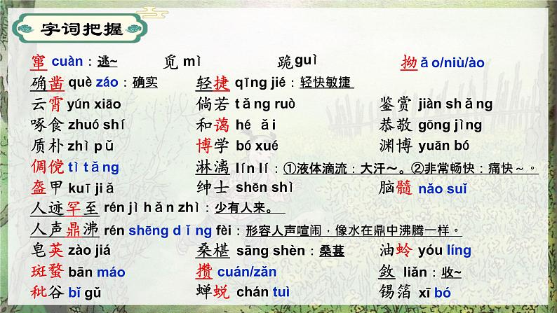 第09课从百草园到三味书屋-【同步备课】2023·2024学年七年级语文上学期同步精品课件08