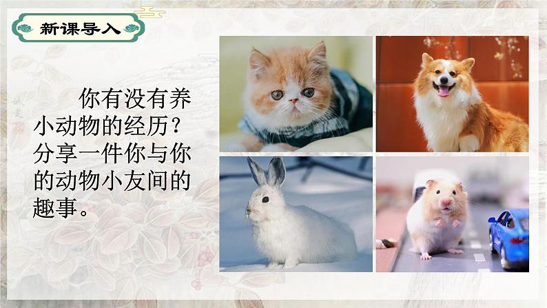 第16课猫-【同步备课】2023·2024学年七年级语文上学期同步精品课件01