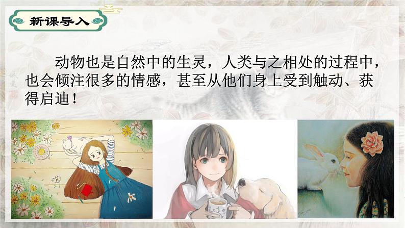 第16课猫-【同步备课】2023·2024学年七年级语文上学期同步精品课件第2页