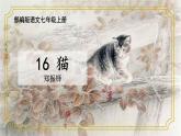 第16课猫-【同步备课】2023·2024学年七年级语文上学期同步精品课件