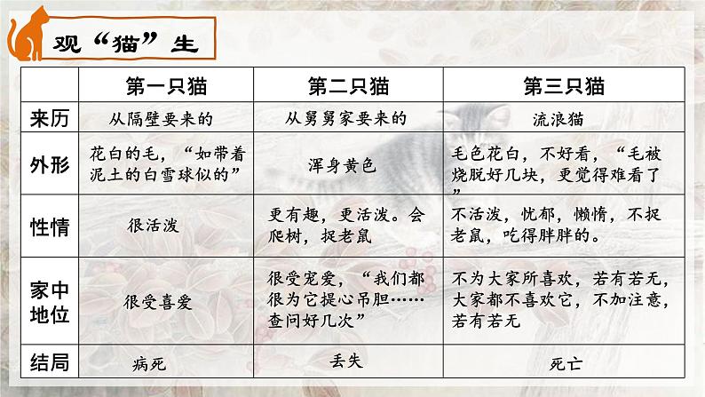 第16课猫-【同步备课】2023·2024学年七年级语文上学期同步精品课件第8页