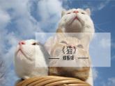 第16课 《猫》-【同步备课】2023-2024学年七年级语文上册同步优质课件