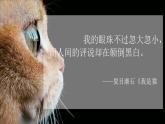 第16课 《猫》-【同步备课】2023-2024学年七年级语文上册同步优质课件