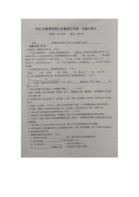 海南省澄迈县大丰学校2023-2024学年七年级上学期第一次集中练习语文试题（月考）