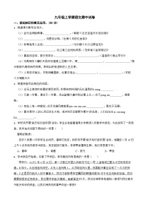 广东省湛江市2023年九年级上学期语文期中试卷（附答案）