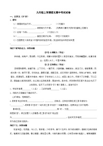 上海市松江区2023年九年级上学期语文期中考试试卷（附答案）