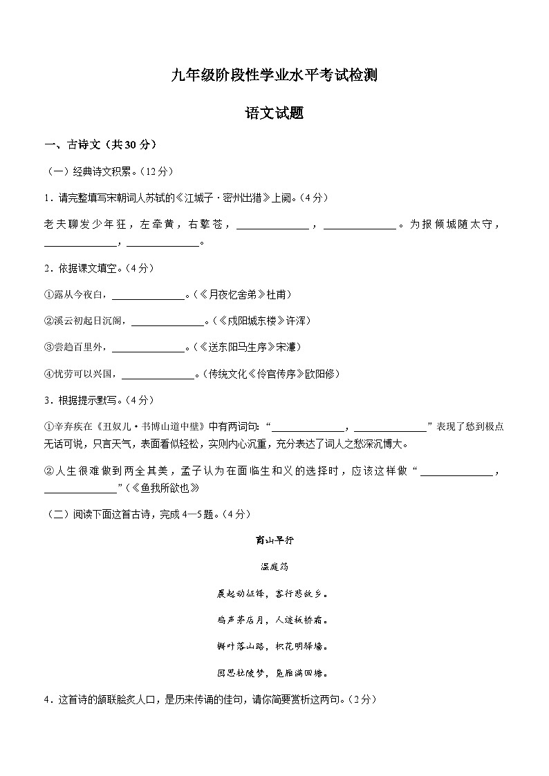 山东省菏泽市牡丹区第十一中学2022-2023学年九年级上学期期末语文试题01