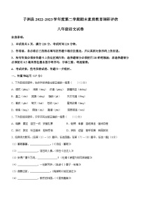 陕西省榆林市子洲县2022-2023学年八年级下学期期末语文试题