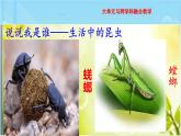 名著导读《昆虫记》教学课件