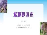 《紫藤萝瀑布》课件、课堂实录、教学设计、作业布置