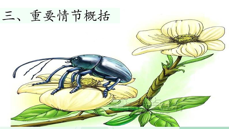 名著导读 《昆虫记》：科普作品的阅读课件PPT04