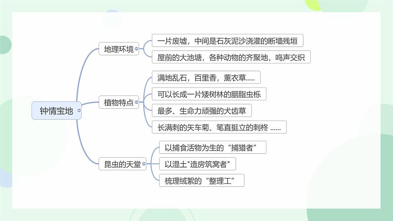 名著导读 《昆虫记》：科普作品的阅读课件PPT07