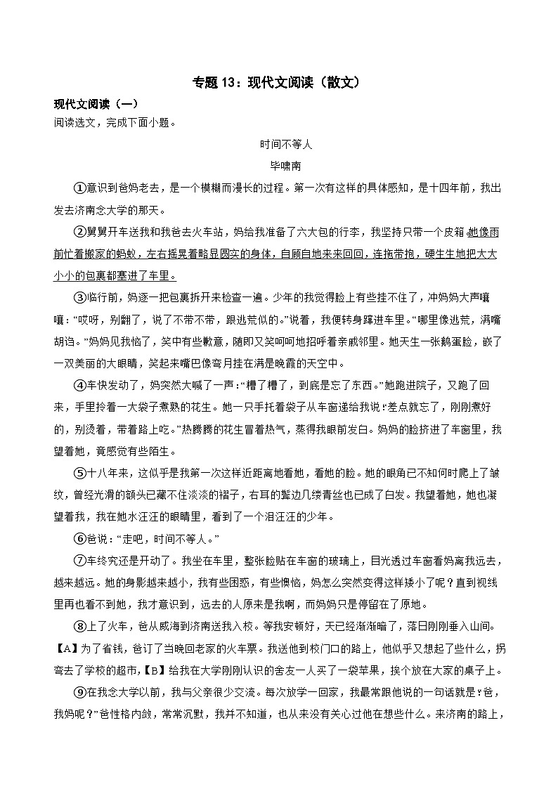 专题13：现代文阅读（散文）-2024年中考语文一轮复习综合强化训练（全国通用）解析版第1页
