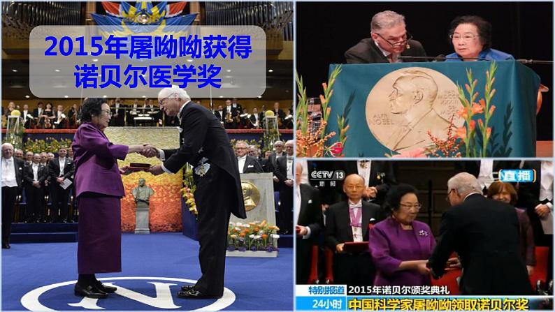 2《首届诺贝尔奖颁发》课件PPT第4页