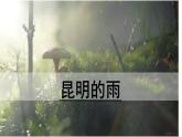 17.《昆明的雨》课件PPT