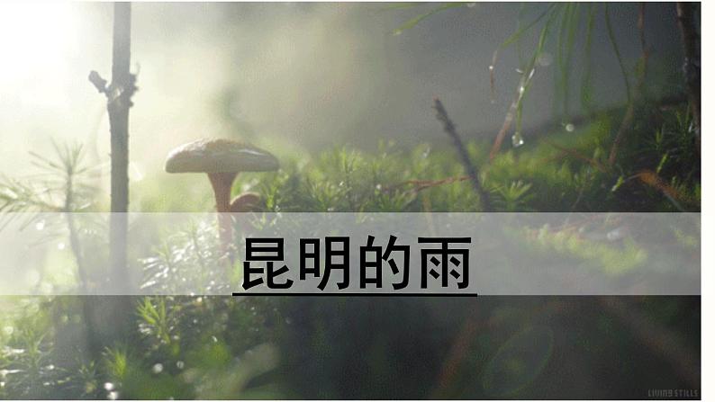 17.《昆明的雨》课件PPT第1页