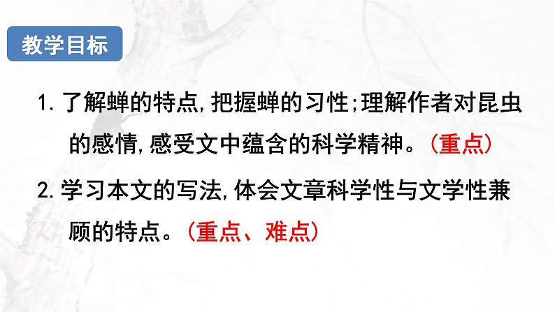 21.《蝉》课件PPT第2页
