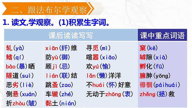 21.《蝉》课件PPT第6页