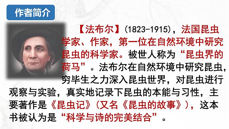 21.《蝉》课件PPT第7页