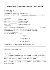 2023-2024学年山东省菏泽市牡丹区九年级上册期末语文试题（含答案）