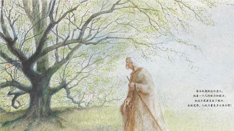 植树的牧羊人 公开课  课件第1页