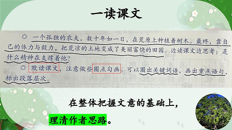 植树的牧羊人 公开课  课件第6页