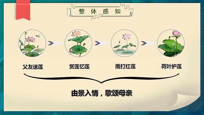 《荷叶 母亲》公开课课件第7页