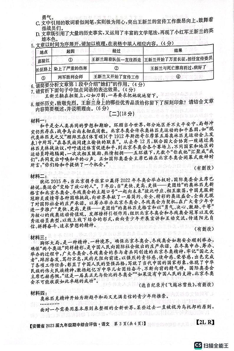 安徽省安庆市桐城市大关初级中学2022-2023学年九年级上学期期中测试语文试卷03