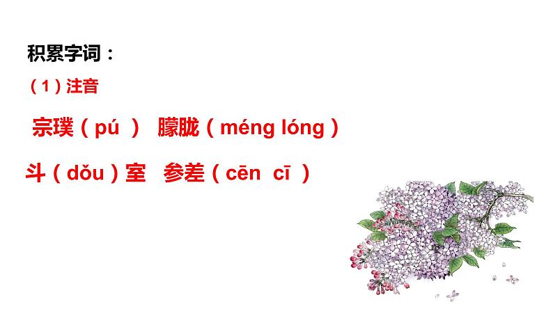 初中六年级上册语文课件---2.《丁香结》第3页