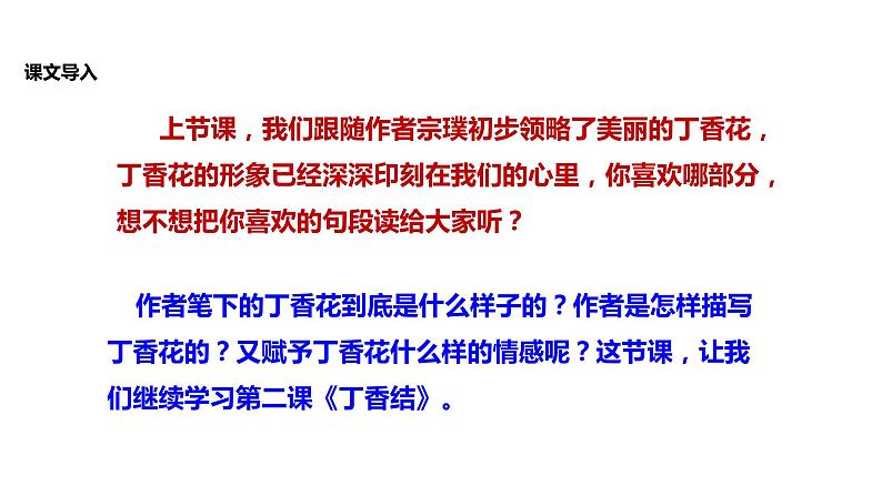 初中六年级上册语文课件---2.《丁香结》第6页