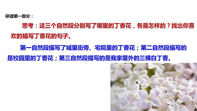 初中六年级上册语文课件---2.《丁香结》第7页